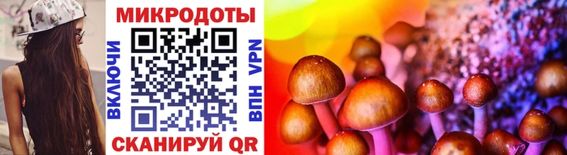наркотики  Светлоград  Галлюциногенные грибы MAGIC MUSHROOMS 