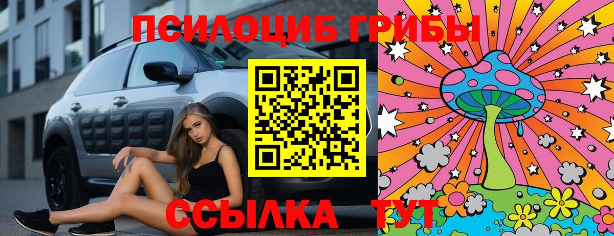 Галлюциногенные грибы Psilocybe  Вход с VPN  Светлоград  Галлюциногенные грибы Psilocybine cubensis 